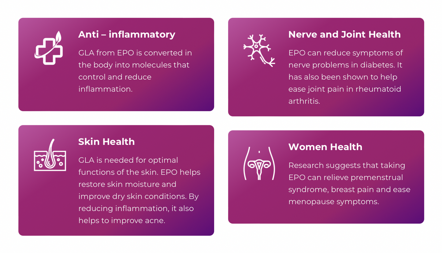 SpringHealth Evelin