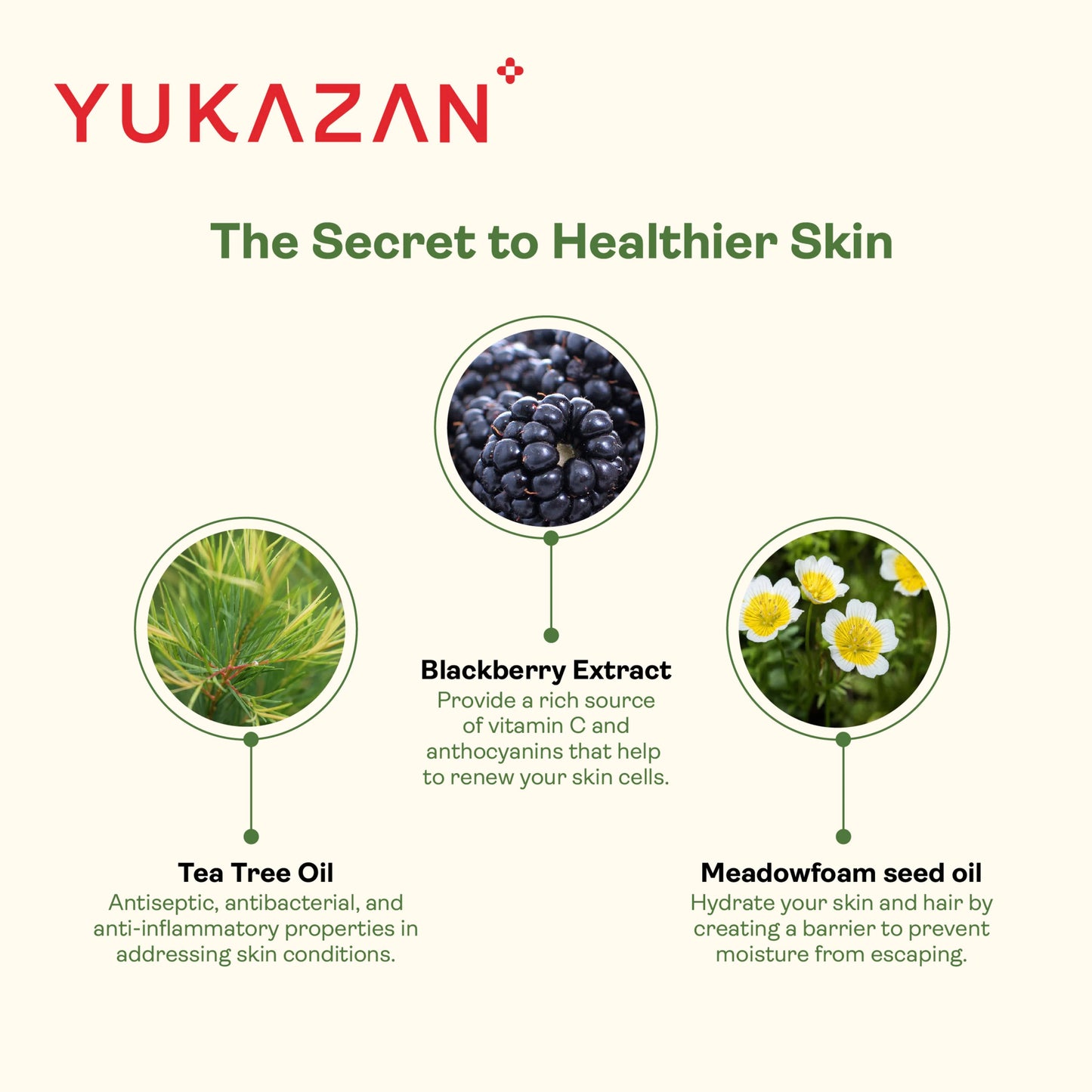 Yukazan Fresh Bouquet Body Wash 1000ml Shower Foam / Antibacterial And Alcohol Free / Body Shampoo