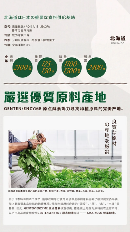 GENTEN ENZYME YASAIKOSO 天然有机排毒酵素 ( 1box=15sachet )