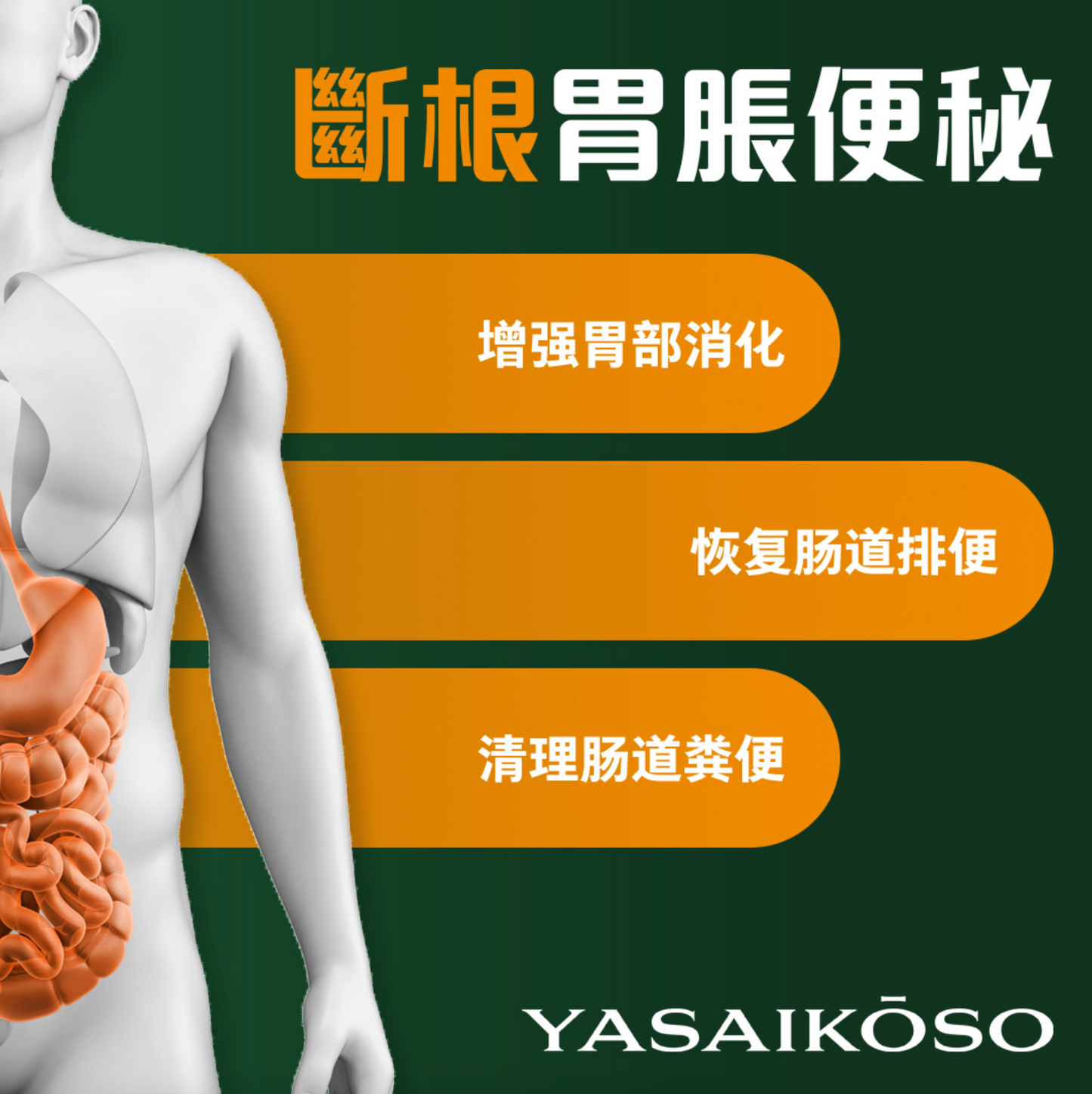 GENTEN ENZYME YASAIKOSO 天然有机排毒酵素 ( 1box=15sachet )