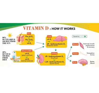 Trinley Vitamin D3 1000 IU - 60 Softgel + FREE PILLBOX