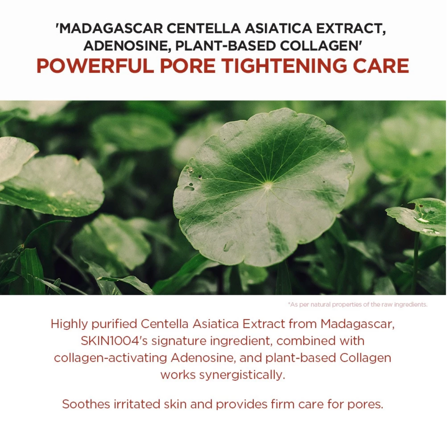 SKIN1004 Madagascar Centella Poremizing Clarifying Mas